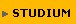 Inhalte zum Studium